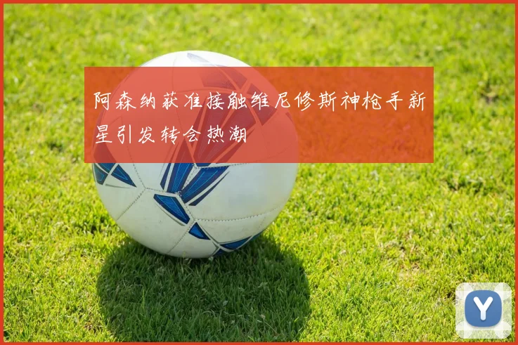 阿森纳获准接触维尼修斯神枪手新星引发转会热潮