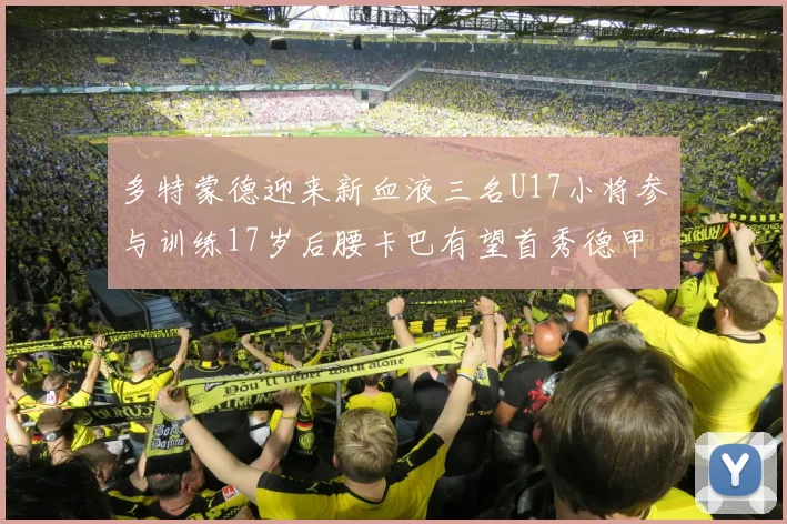 多特蒙德迎来新血液三名U17小将参与训练17岁后腰卡巴有望首秀德甲