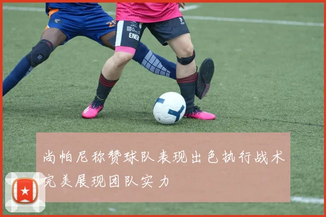 尚帕尼称赞球队表现出色执行战术完美展现团队实力